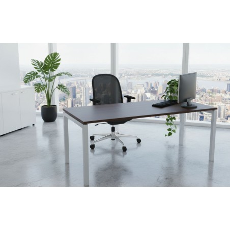 Desk with metal structure mop1101005