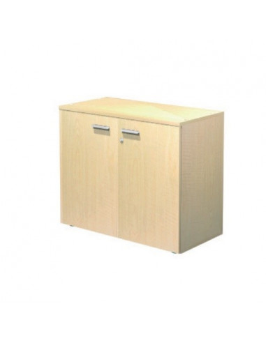 Cabinet with doors and 1 adjustable shelf aca1101003