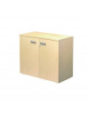 Cabinet with doors and 1 adjustable shelf aca1101003