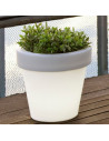 Design plant and flowers pot Magnolia whit light lil1146009