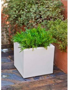 Vaso de projeto Narciso cja1146008