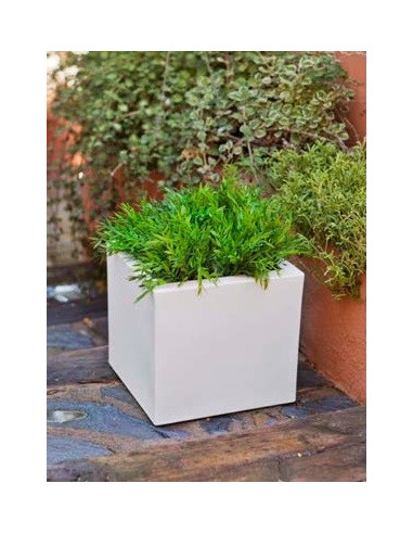 Planter de disseny Daffodil cja1146008