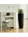  Design plant and flower pots Bambú cja1146007