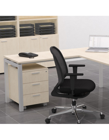 Caisson 2 tiroirs avec roues aca1044003-DESKandSIT