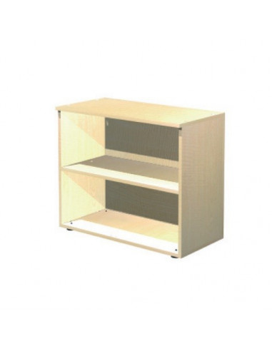 Cabinet with 1 adjustable shelf aca1101002